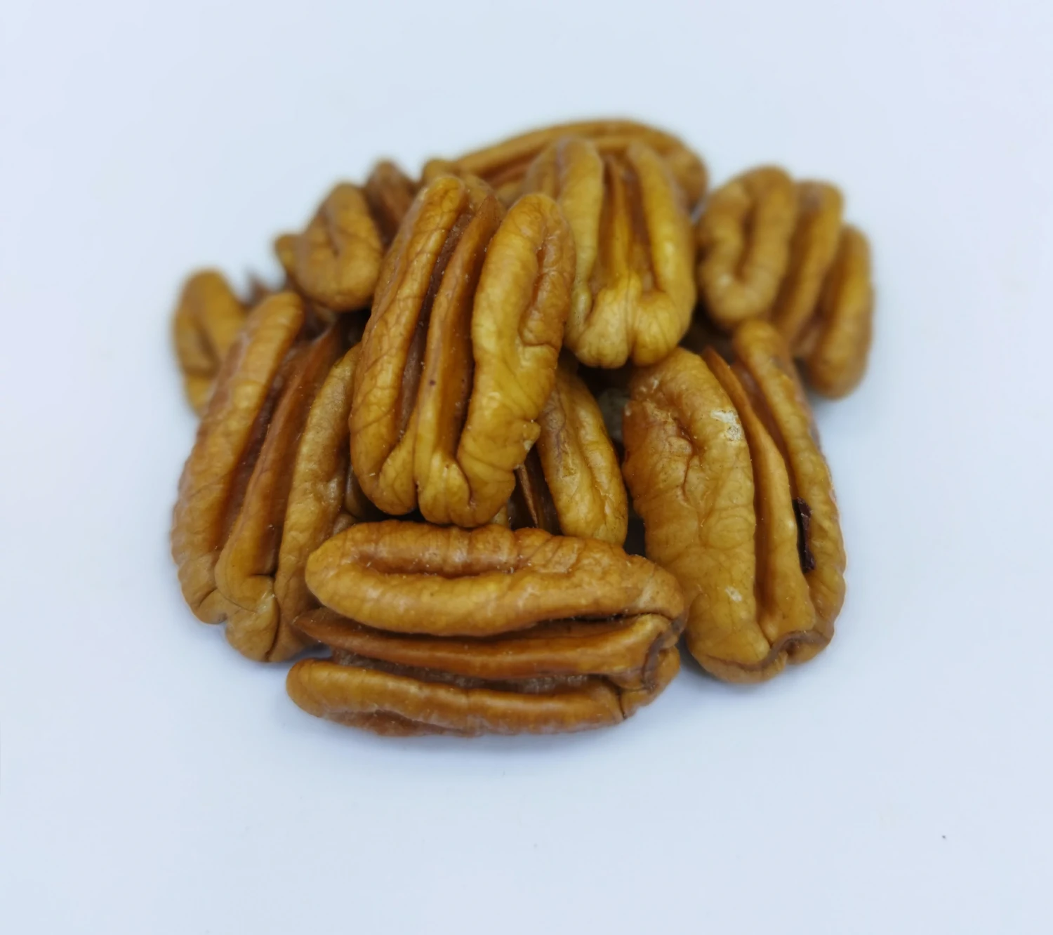 "Injir" Arassalanan Hoz