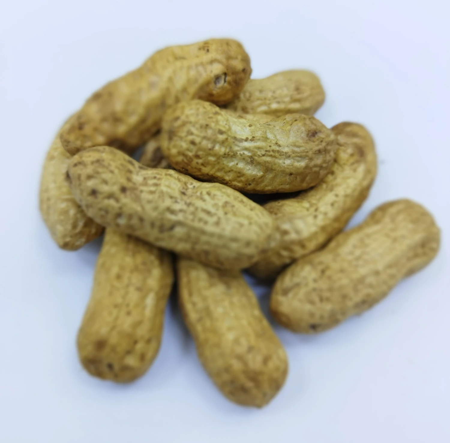 "Injir" Arahis Gury iýmişler