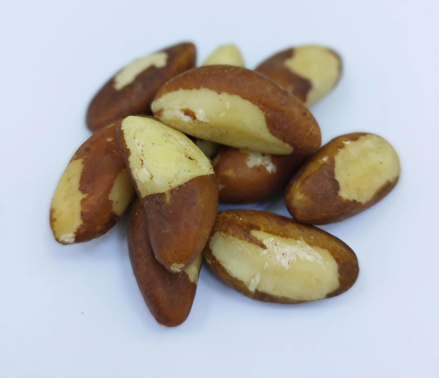 "Injir" Kişýu