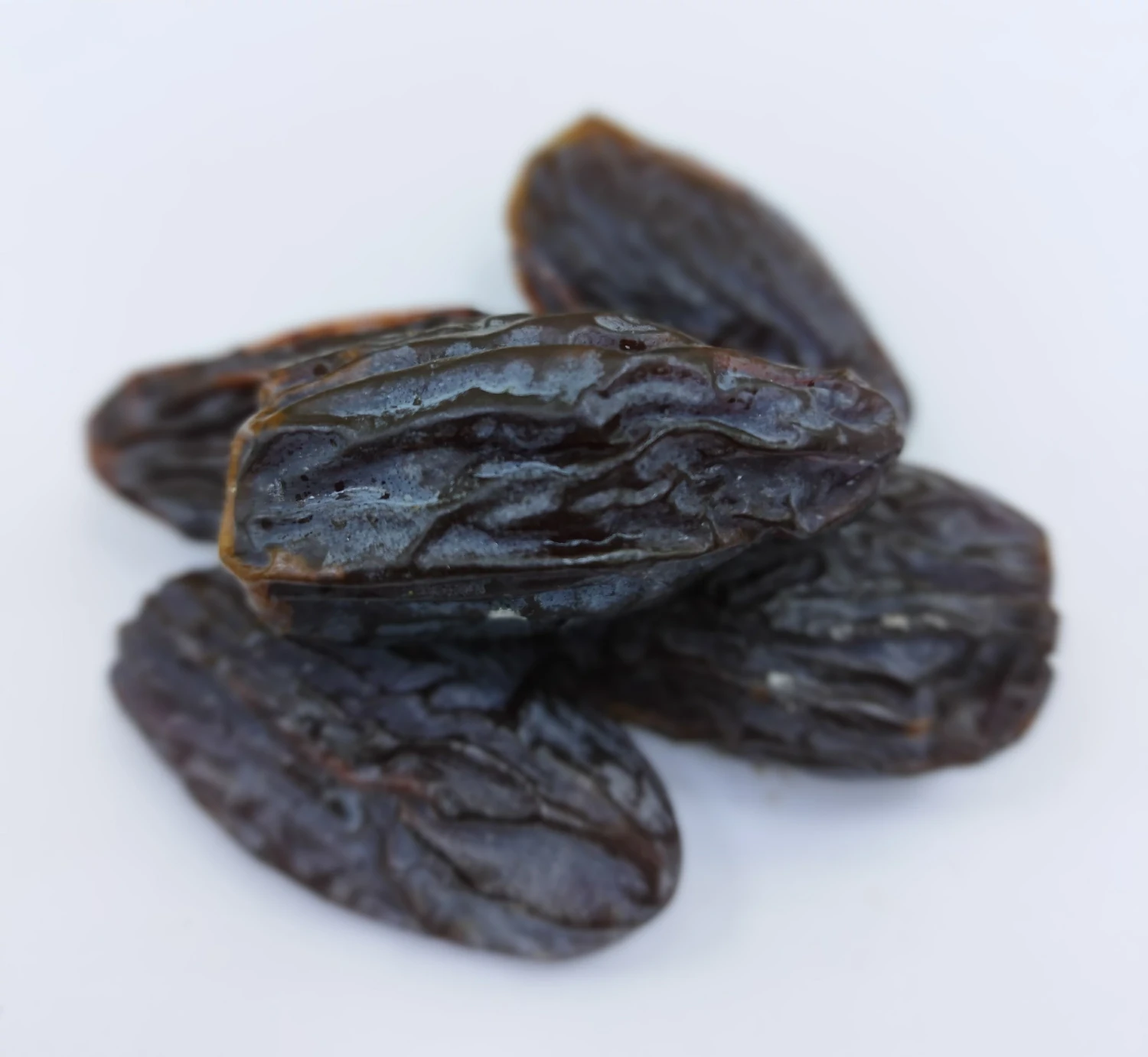 "Injir" Gury iýmişler