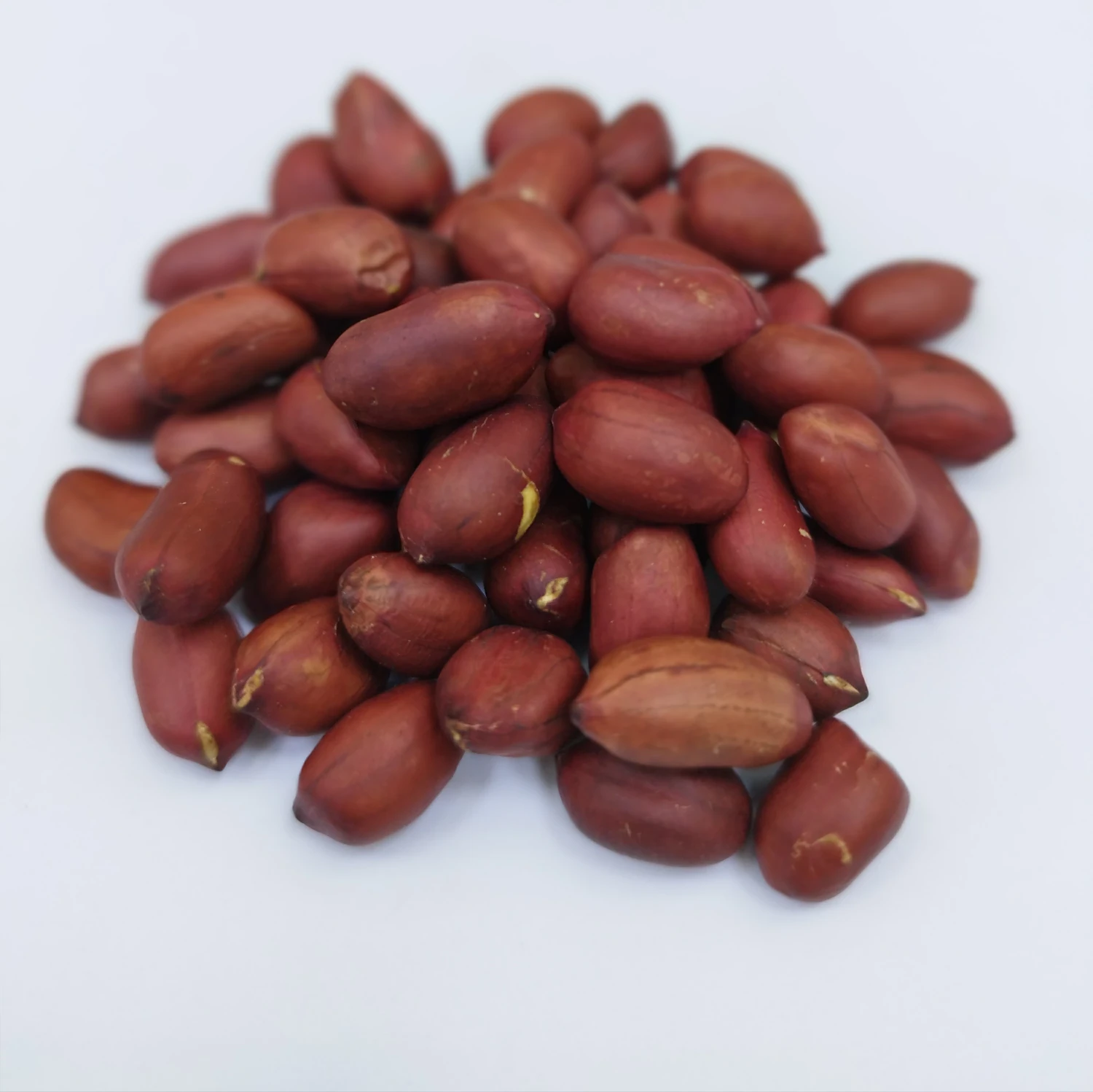 "Injir" Arahis
